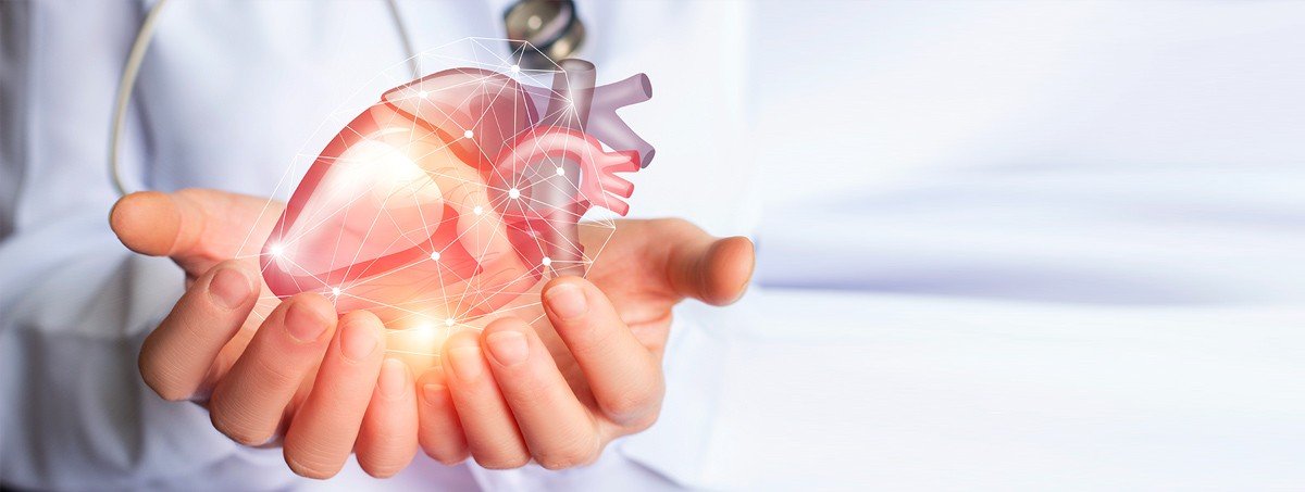 Cardiology ( Heart and Vascular System )