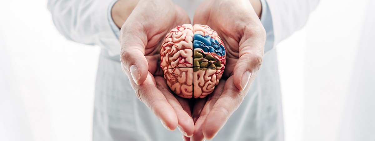 Neurosurgery / Neurology / Spine