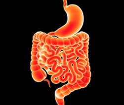 home-flip-Gastroenterology